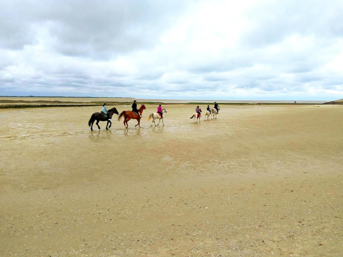 Maison Proche Des Immenses Plages De Berck Sur Mer A 1,8Km Des Plages Exterior foto